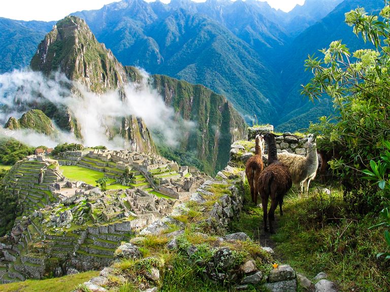 Höhepunkte Andenländer: Von Peru bis Ecuador ©coopermoisse/istock